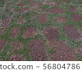 The walkway is made of laterite stone. 56804786