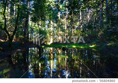 Hakusan Hiraizumi Temple Mitarai Pond 56804860