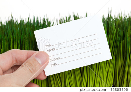 Address Book and green grass Address Book and green grass 56805596