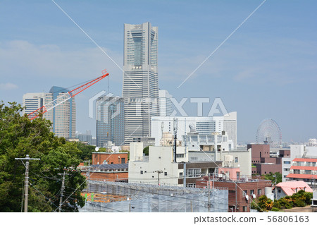 Yokohama Nogeyama Park 56806163