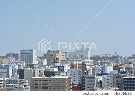 橫濱Nogeyama公園 56806628