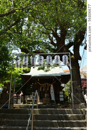 A child shrine in Hinodecho, Yokohama 56806677
