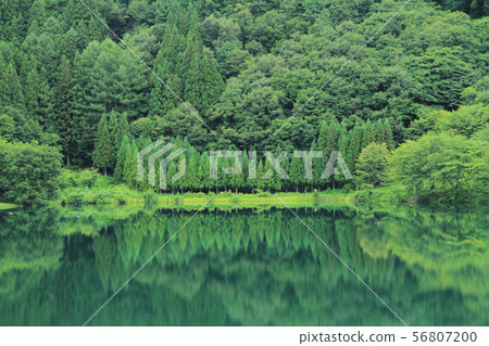 Lake Nakatsuna in summer Lake Nakatsuna in summer 56807200