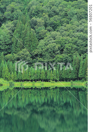 Lake Nakatsuna in summer 56807201