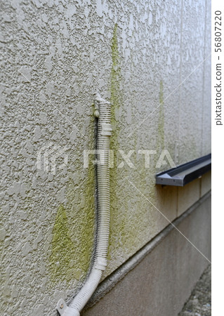 Exterior wall dirt 56807220