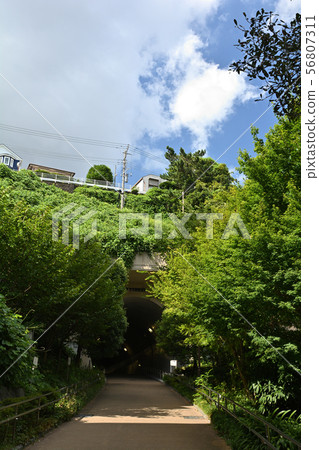 Yokohama · Toyoko flower green road 56807311