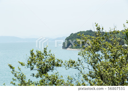 半島 56807531