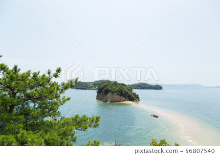 Angel Road Kagawa Prefecture Shodoshima 56807540