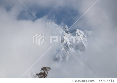 Kamikochi, the beautiful snowy hotaka mountain range that appears from morning mist 56807713