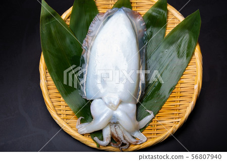 Cuttlefish food 56807940