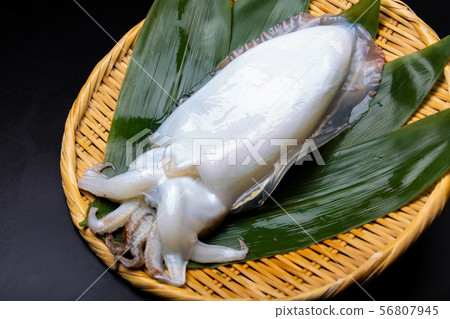 Cuttlefish food 56807945