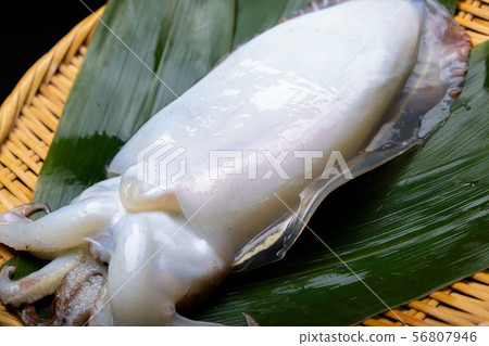 Cuttlefish food Cuttlefish food 56807946