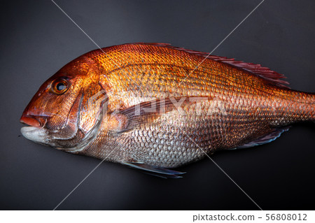 食品配料 食品配料 56808012