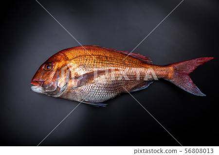 食品配料 食品配料 56808013