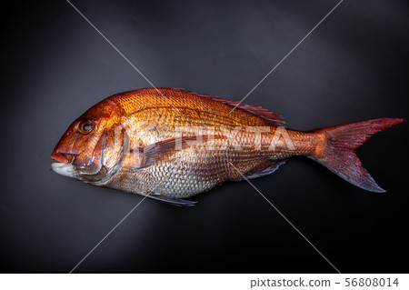 食品配料 食品配料 56808014