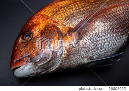 食品配料 食品配料 56808015