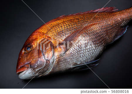 食品配料 食品配料 56808016