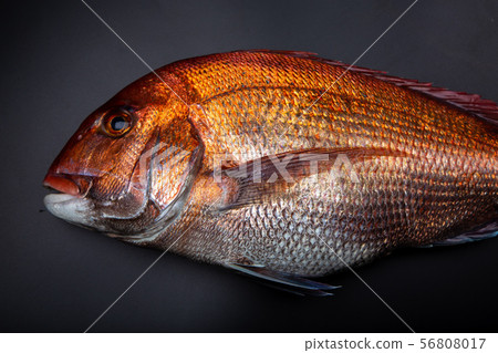 食品配料 食品配料 56808017