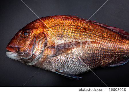 食品配料 食品配料 56808018