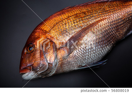 食品配料 食品配料 56808019