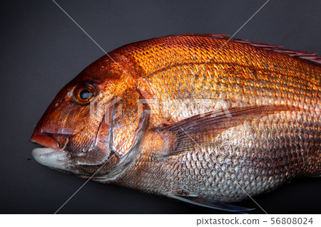 食品配料 食品配料 56808024