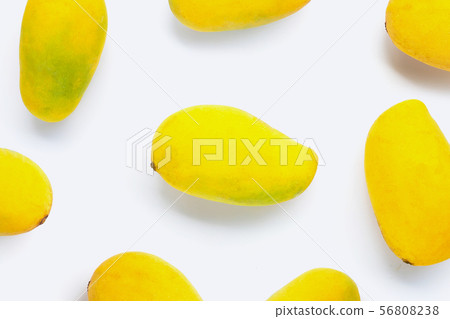 Tropical fruit, Mango  on white background. 56808238