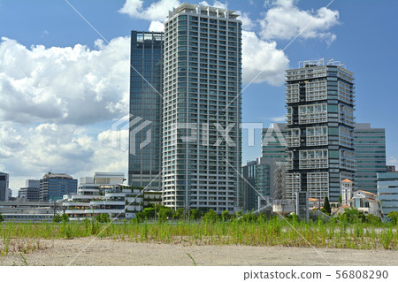 Scenery of Yokohama · Kanagawa Ward 56808290