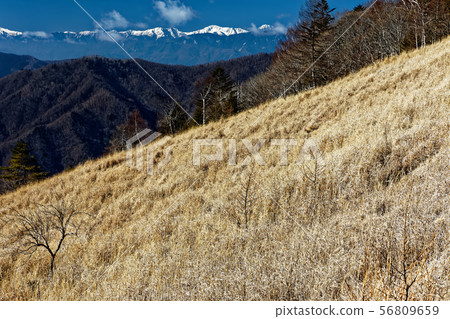 Qiantoku Mountain, Ogihira Meadow and Southern Alps 56809659