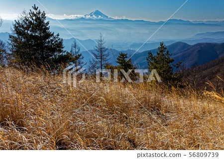 從Inui和Mt.富士山看到 56809739