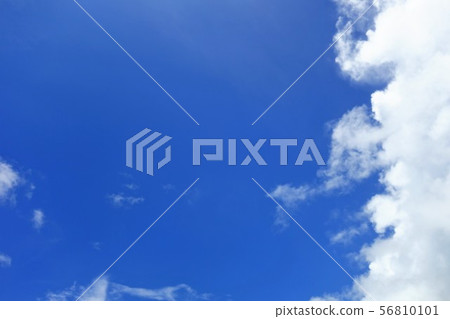 雲彩，藍天和棕櫚樹 56810101