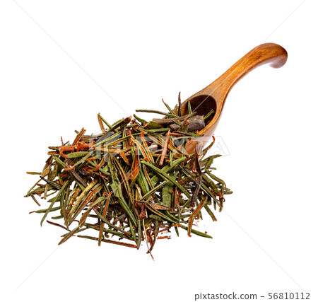 Marsh Northern Labrador Tea Ledum palustre on the wooden spoon. Used in medicine. 56810112