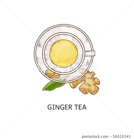 Cup of spicy ginger flavor tea icon sketch doodle vector illustration isolated. Cup of spicy ginger flavor tea icon sketch doodle vector illustration isolated. 56810141