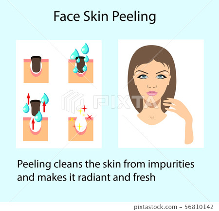 Cleansing skin process, vector illustration isolated on the light background Cleansing skin process, vector illustration isolated on the light background 56810142