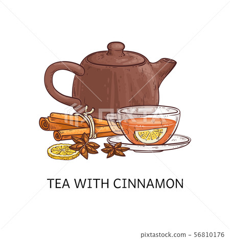 Spicy tea type the tea with cinnamon sketch vector illustration isolated on white. 56810176