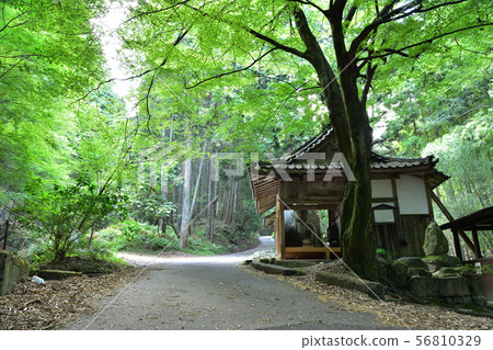 The Great Buddha of Otsu City / Shiga The Great Buddha of Otsu City / Shiga 56810329