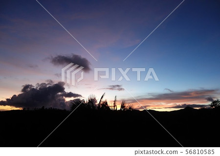 熱帶日落 56810585