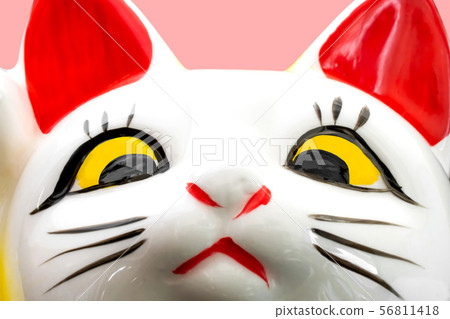 Lucky Cat Lucky Cat 56811418