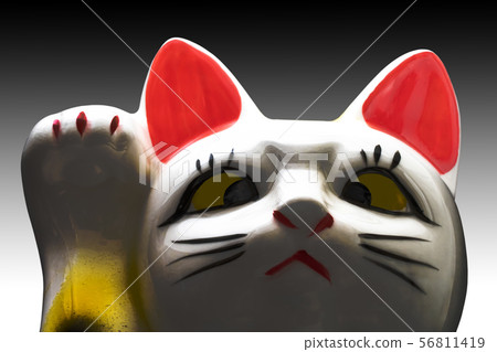 Lucky Cat Lucky Cat 56811419