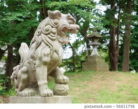 Senba Hikawa Shrine的Ainu Agata（埼玉縣川越市） 56811736