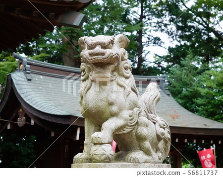 Senba Hikawa Shrine的Ainu Agata（埼玉縣川越市） 56811737
