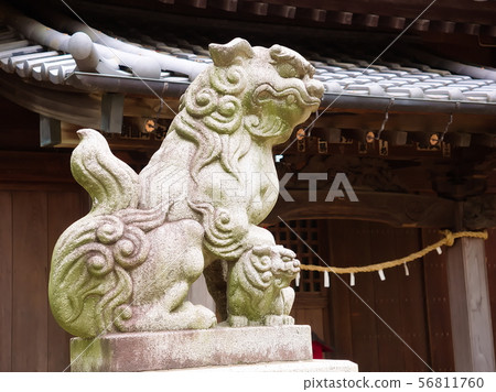 Sengoku Hikawa Shrine，Sakai Inugata（埼玉縣川越市） 56811760