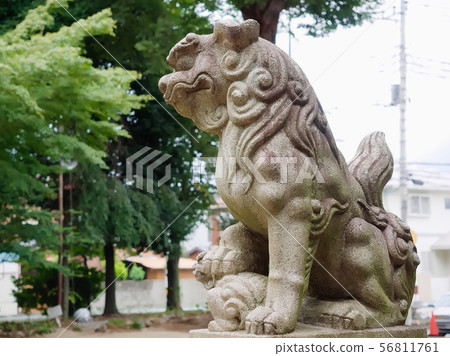 Sengoku Hikawa Shrine，Sakai Inugata（埼玉縣川越市） 56811761