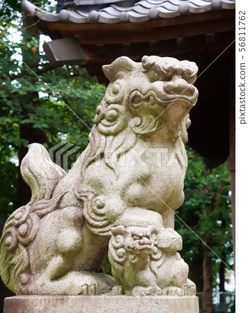 Sengoku Hikawa Shrine，Sakai Inugata（埼玉縣川越市） 56811762