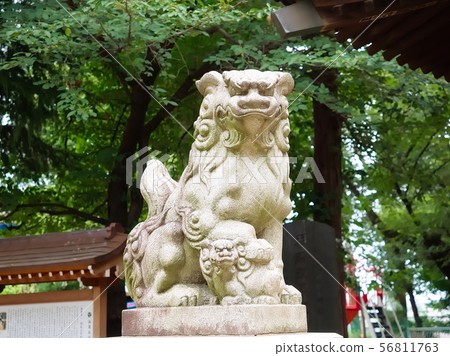 Sengoku Hikawa Shrine，Sakai Inugata（埼玉縣川越市） 56811763