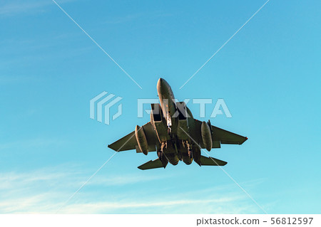 Landing posture fighter 56812597