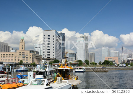 Yokohama Yokohama 56812893