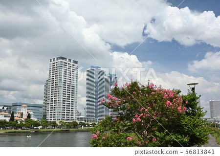 Scenery of Yokohama · Kanagawa Ward Scenery of Yokohama · Kanagawa Ward 56813841