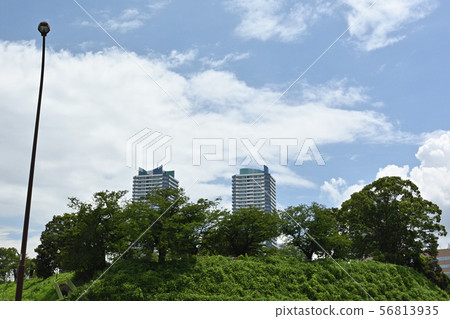 橫濱·神奈川區的風景 56813935