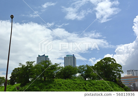 Scenery of Yokohama · Kanagawa Ward 56813936
