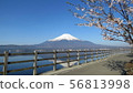 Fuji Five Lakes_Lake Yamanaka and Sakura_I421I6016 56813998